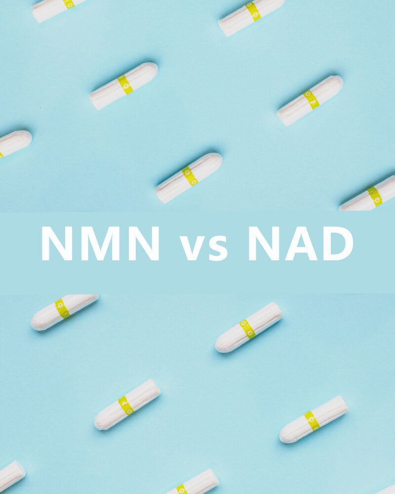 NMN vs NAD: Which is Better?